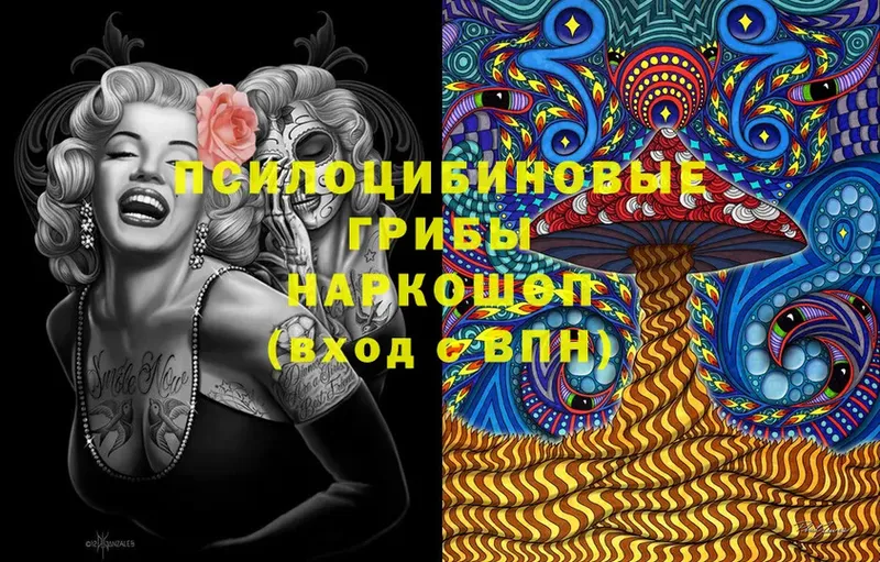 Галлюциногенные грибы Cubensis  Мезень 